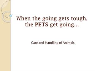 When the going gets tough, the PETS get going...