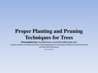 Sources for Tree Information