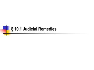 § 10.1 Judicial Remedies