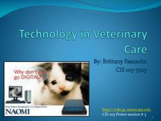 Technology in Veterinary Care