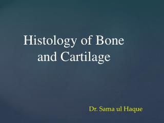 Dr. Sama ul Haque