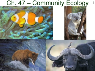 Ch. 47 – Community Ecology