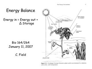 Energy Balance Energy in = Energy out + Δ Storage