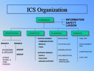 ICS Organization