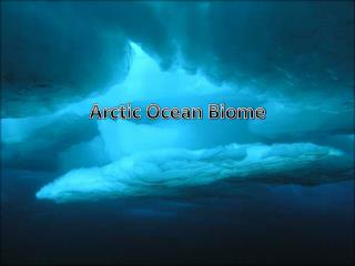 Arctic Ocean Biome