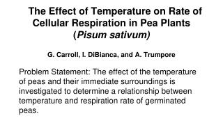 The Effect of Temperature on Rate of Cellular Respiration in Pea Plants ( Pisum sativum)