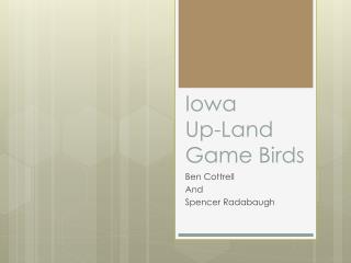 Iowa 	 Up-Land Game Birds