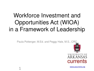 Workforce Investment and Opportunities Act (WIOA) in a Framework of Leadership