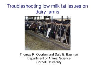 Troubleshooting low milk fat issues on dairy farms