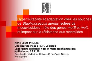 Anne-Laure PRUNIER Directeur de thèse : Pr. R. Leclercq Laboratoire Relations hôte et microorganismes des épithéliums,