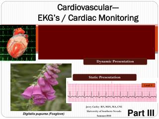 PPT - Cardiovascular--- EKG’s / Cardiac Monitoring PowerPoint ...