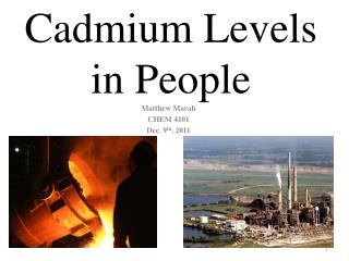 Cadmium Levels in People