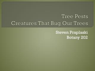 Tree Pests Creatures That Bug Our Trees