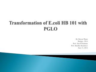 transformation of e coli lab report transformation of e coli lab report