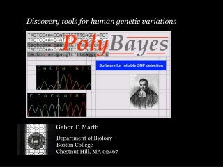 Discovery tools for human genetic variations
