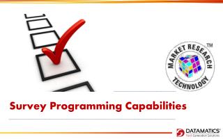 Survey Programming Capabilities