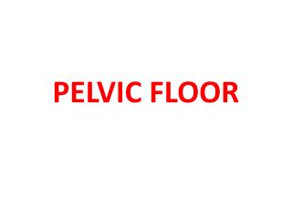PELVIC FLOOR
