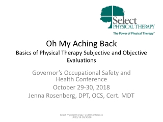 Oh My Aching Back Basics of Physical Therapy Subjective and Objective Evaluations