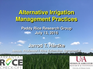 Alternative Irrigation Management Practices Paddy Rice Research Group July 13, 2016
