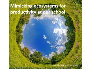 Mimicking ecosystems for productivity at our school