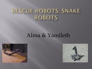Rescue Robots: Snake Robots