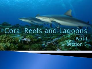 Coral Reefs and Lagoons