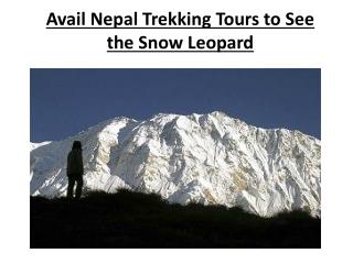 Avail Nepal Trekking Tours to See the Snow Leopard