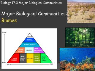Biology 17.3 Major Biological Communities