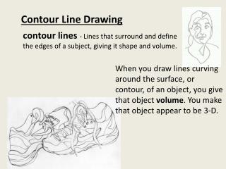 Contour Line Drawing