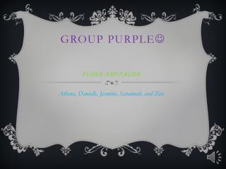 Group Purple 