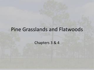 Pine Grasslands and Flatwoods