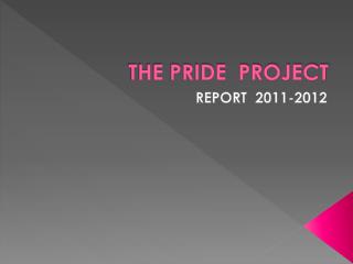 THE PRIDE PROJECT
