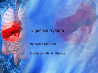 PPT - Digestive System PowerPoint Presentation, Free Download - ID:2381609