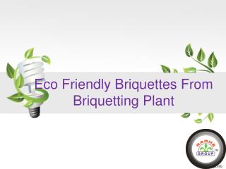 Eco Friendly Briquettes From Briquetting Plant