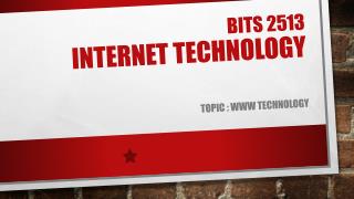 Bits 2513 internet technology