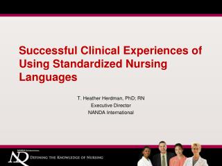 Successful Clinical Experiences of Using Standardized Nursing Languages