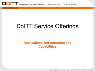 DoITT Service Offerings