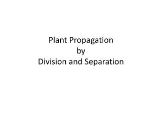 Plant Propagation by Division and Separation