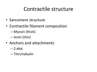 Contractile structure