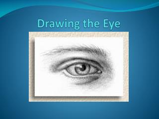 Drawing the Eye