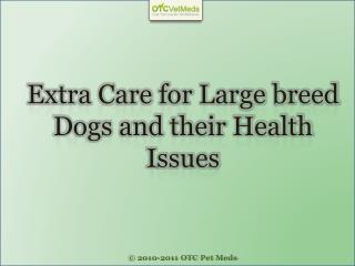 Extra care for Large breed dogs and their health issues