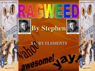 By Stephen