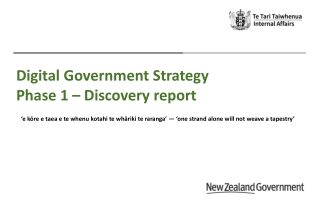 Digital Government Strategy Phase 1 – Discovery report