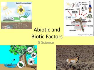 Abiotic and Biotic Factors