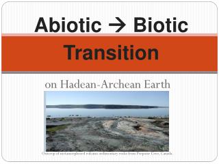 Abiotic  Biotic Transition