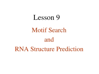 Motif Search and RNA Structure Prediction