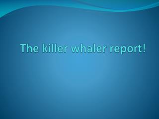 The killer whaler report!