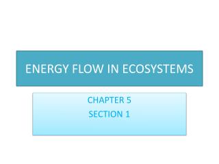 ENERGY FLOW IN ECOSYSTEMS