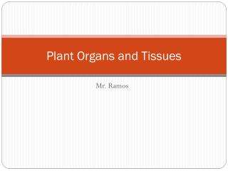 Plant Organs and Tissues