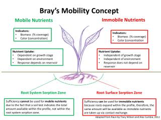 Bray’s Mobility Concept